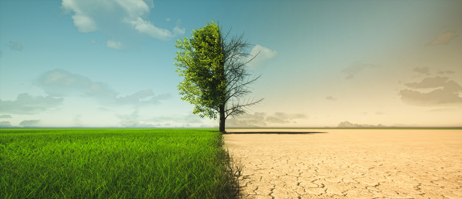 Climate change from drought to green growth - em360