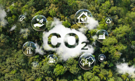 Carbon dioxide reduction concept in top view of environmental forest. Sustainable development and green business from renewable energy Limit climate change - em360