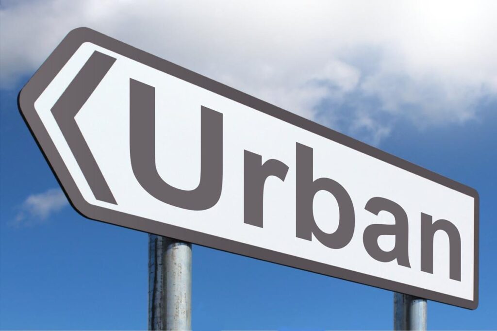 Rural și urban rural si urban tudor mirea em360