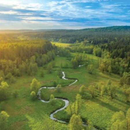 Comisia aprobă un ajutor de stat polonez de 119 milioane de euro pentru sprijinirea ecosistemelor forestiere em360