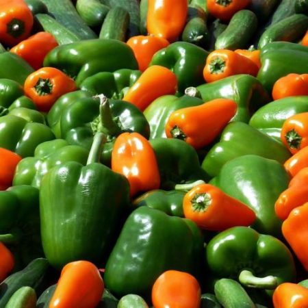 Comisia Europeană a lansat platforma AI TraceMap pentru detectarea fraudei alimentare și a produselor contaminate în UE em360