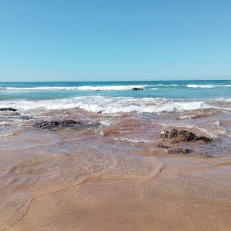 Comisia Europeană lansează consultarea pentru European Ocean Act, viitoarea lege-cadru a UE pentru guvernanța oceanelor em360