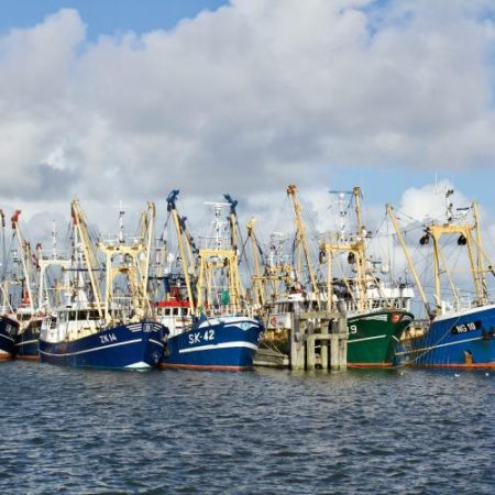 Comisia Europeană avertizează că reducerea flotei de pescuit nu a eliminat dezechilibrele din sector em360