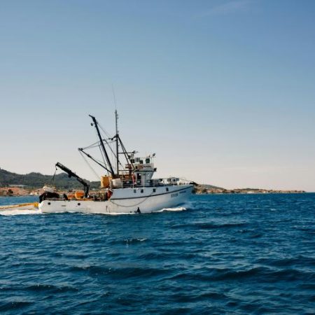 Parlamentul European cere o diplomație oceanică mai puternică în acțiunea externă a UE em360