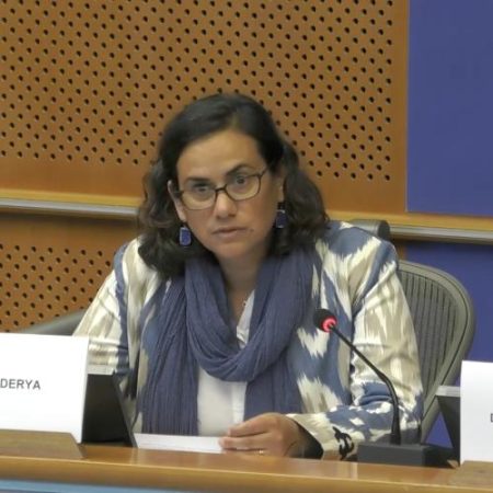 EEAS spune că Moldova a eliminat dependența de gazul și electricitatea rusești em360