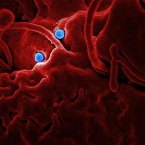 Peste 59.000 de decese anual în UE din cauza HIV, tuberculozei hepatitelor și infecțiilor sexuale em360