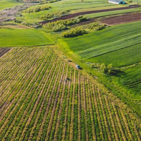 Parchetul European investighează în România o posibilă fraudă de 3,5 milioane de euro cu 237 de proiecte agricole finanțate de UE em360