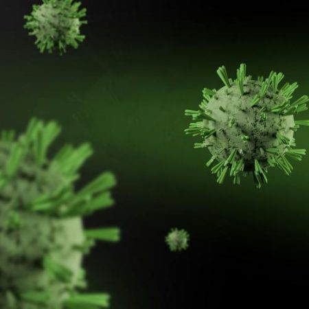 Comisia Europeană coordonează evacuări și repatrieri după un focar de hantavirus pe o navă de croazieră em360