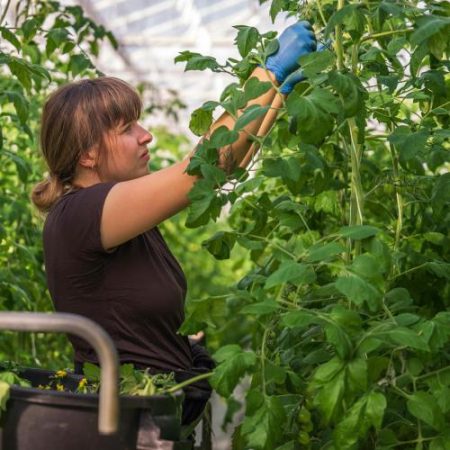 Femeile administrează o treime dintre fermele din Uniunea Europeană, dar primesc doar 15% din sprijinul agricol em360