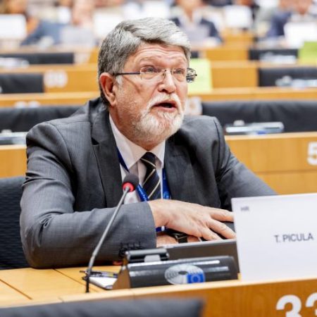 Parlamentul European cere Serbiei dovezi concrete de angajament față de valorile Uniunii Europene em360