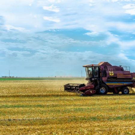 Raport CEPS spune că agricultura Ucrainei are nevoie de 55,3 miliarde de dolari pentru reconstrucție în următorul deceniu em360