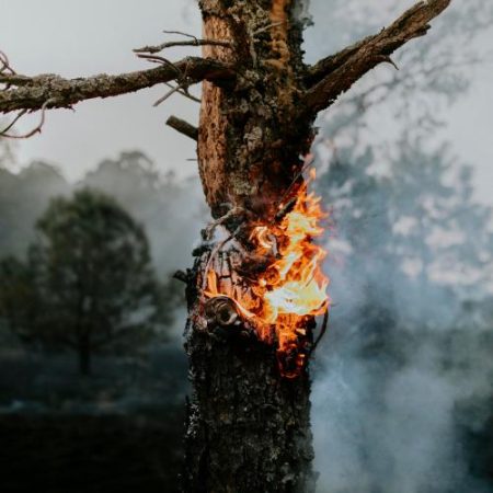 Comisia Europeană mobilizează cea mai mare operațiune europeană de răspuns la incendii de vegetație pentru vara 2026 em360
