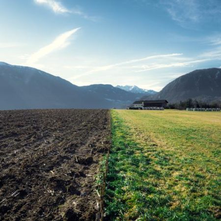 Corporate Europe Observatory acuză marile companii agroalimentare că folosesc agricultura regenerativă pentru a influența politica agricolă europeană em360