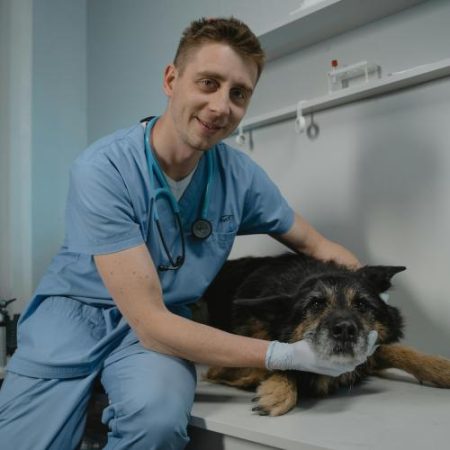 Comisia Europeană trimite Franța în fața Curții de Justiție a Uniunii Europene pentru restricții aplicate companiilor veterinare em360