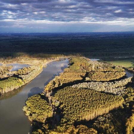 Un proiect LIFE readuce apa în lunca Dunării și câștigă premiul european pentru natură în 2026 em360