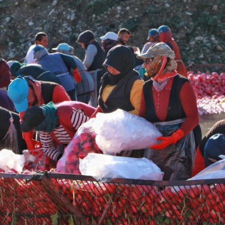 Femeile migrante sunt grupul cel mai expus locurilor de muncă sub nivelul calificării em360