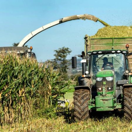 Excedentul comercial agroalimentar al UE a crescut la 19,4 miliarde de euro deși exporturile au scăzut em360