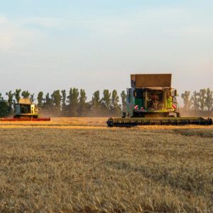 UE pregătește Food 2040 cu accent pe hrană mai sănătoasă lanțuri scurte și un sistem alimentar mai rezistent la crize em360