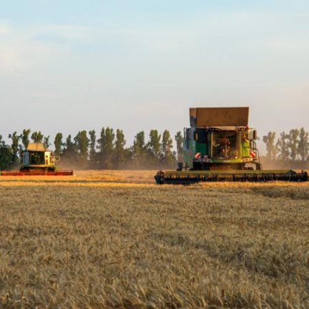 UE pregătește Food 2040 cu accent pe hrană mai sănătoasă lanțuri scurte și un sistem alimentar mai rezistent la crize em360