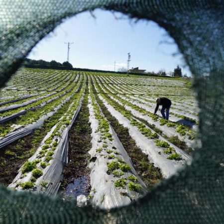 57 de persoane condamnate în Grecia pentru fraudă de 1,7 milioane de euro cu subvenții agricole ale UE em360