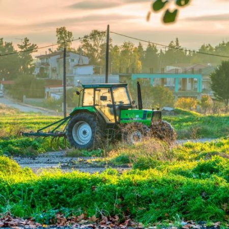 Patru parlamentari greci, trimiși în judecată într-un dosar privind fraude cu subvenții agricole europene em360
