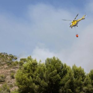 UE trimite avioane, elicoptere și pompieri în Belgia și Spania pe fondul extinderii incendiilor de vegetație em360