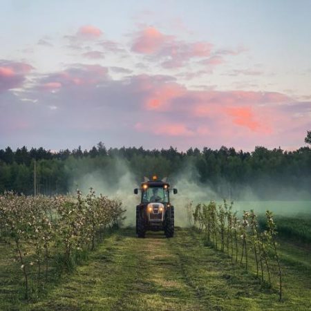 Moldova printre exportatorii mai expuși dacă UE înăsprește limitele pentru reziduurile pesticidelor em360