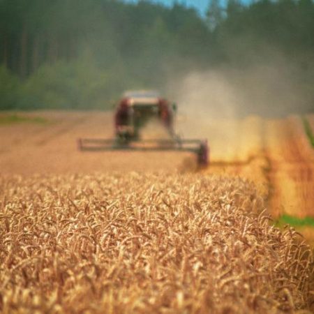 Ucraina cere UE 220 de milioane de euro pentru fermierii afectați de blocajele exporturilor em360