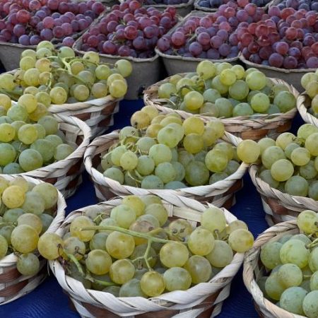 Cafeaua strugurii și citricele ar putea resimți cel mai mult reguli UE mai stricte pentru pesticidele din importuri em360