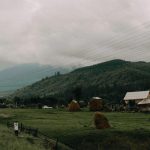 România are cel mai mare raport între prețul electricității și al gazului pentru gospodării în comparația ACER din 2025
