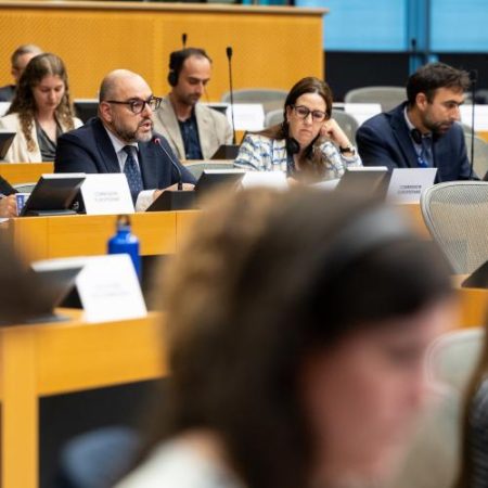 Gwendolyn Sasse și experți în drepturile minorităților cer criterii mai clare pentru evaluarea statelor candidate la UE em360