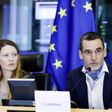 Viitorul director al agenției UE pentru energie cere folosirea mai bună a rețelelor existente pentru schimburile de electricitate între țări em360