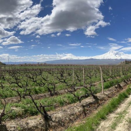 AGRI adopta avizul pentru facilitatile comerciale propuse pentru Armenia dupa intrebari despre impactul asupra fermierilor europeni em360
