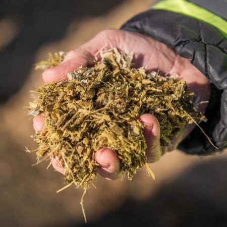UE vrea ca 35% din proteinele vegetale pentru furaje să fie produse în Europa până în 2035 em360