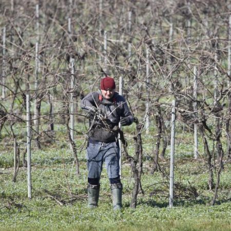 Miniștrii UE se apropie de o poziție asupra PAC după 2027 iar România cere păstrarea ajutoarelor naționale tranzitorii em360