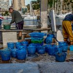 Produsele pescărești debarcate în UE au valorat 5,5 miliarde de euro în 2025, iar Spania a reprezentat 31% din total