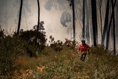 Primăriile cer acces la finanțare pentru prevenirea incendiilor înainte ca dezastrele să se producă