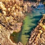 Doar 15% din cele 6,5 miliarde EUR din fondurile regionale alocate naturii au fost cheltuite