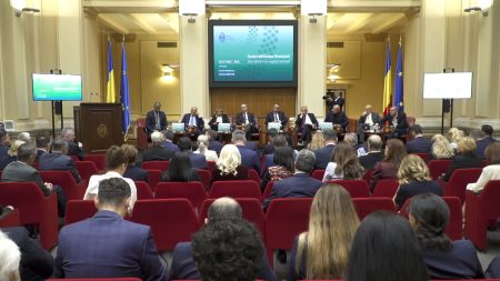 D. DĂIANU, CF: „Ce a rămas din pod se poate prăbuși în râu”